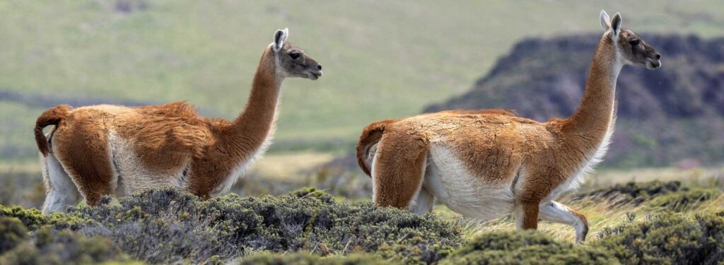 Embarking-New-Header-for-2024