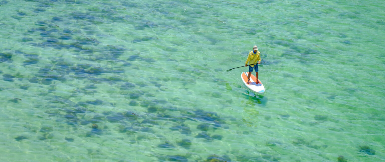 Baja-Whale-Tours-banner