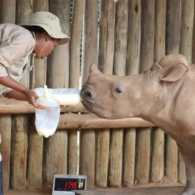 2026MayZAIRFMonterey-blurb