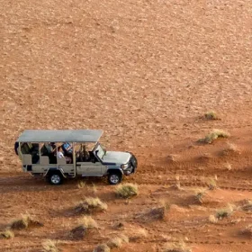 Driving_44 Kwessi Dunes - Nature drive