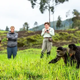 Singita-Volcanoes-National-Park_Golden-Monkey-Trek_Guests