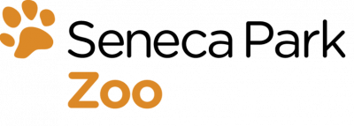 Tiger-ZOO-seneca