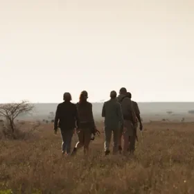 Walking-Safari_Thumb